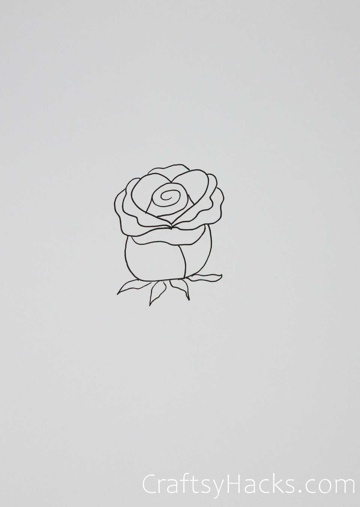 simple rose sketch