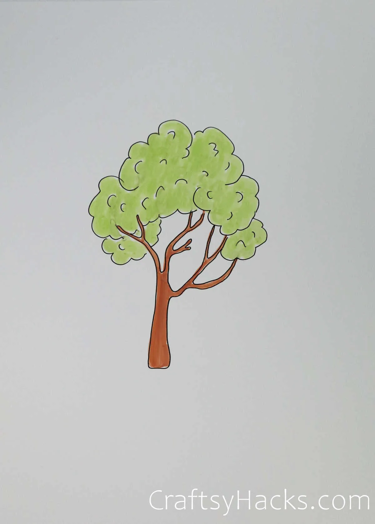tall tree drawing